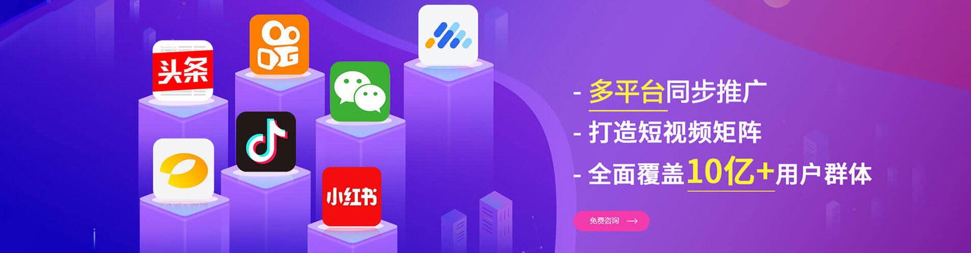 定结信息流大师